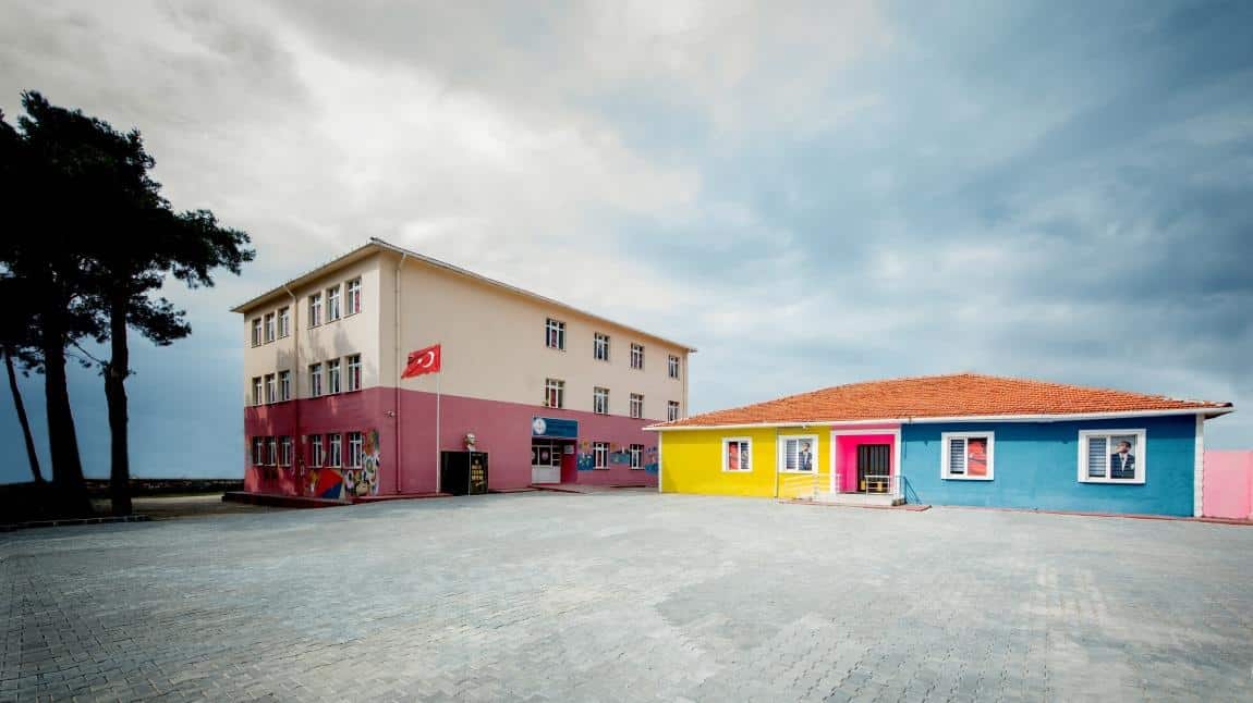 Orgeneral Eşref Bitlis İlkokulu Fotoğrafı